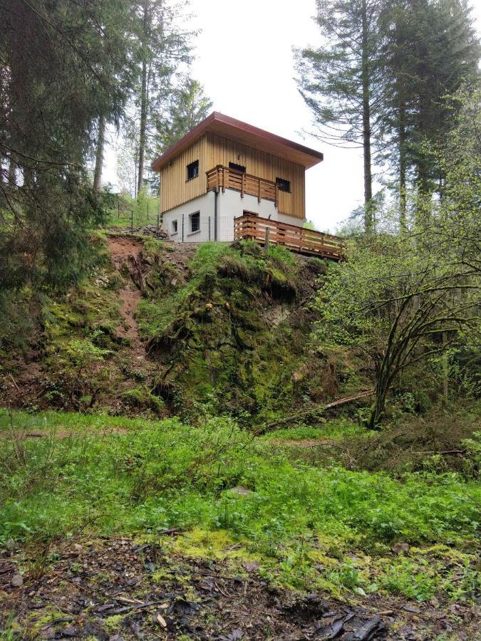 Le Refuge Perche Du Saut De La Bourrique Spa, Terrain Cloture Gerardmer Gérardmer Exterior foto