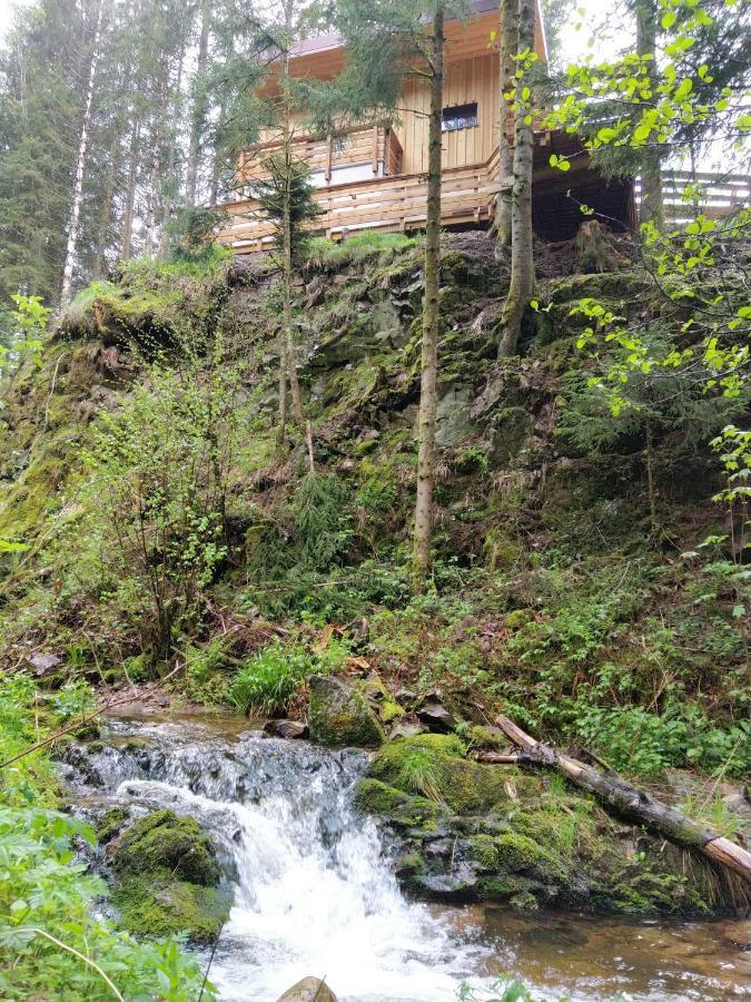 Le Refuge Perche Du Saut De La Bourrique Spa, Terrain Cloture Gerardmer Gérardmer Exterior foto