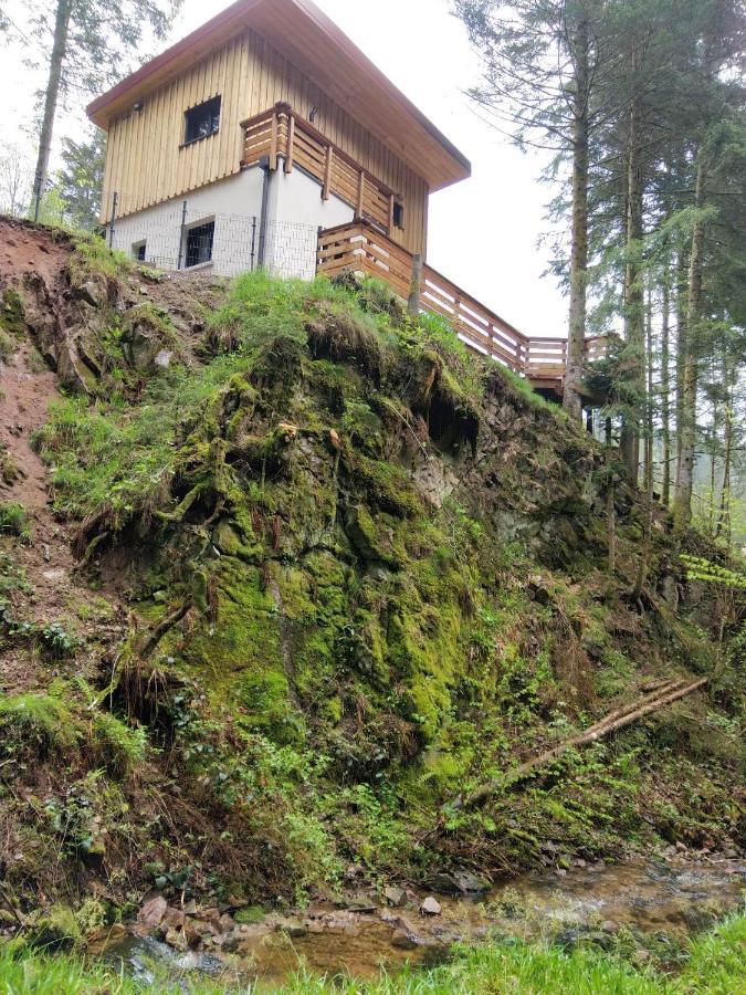 Le Refuge Perche Du Saut De La Bourrique Spa, Terrain Cloture Gerardmer Gérardmer Exterior foto