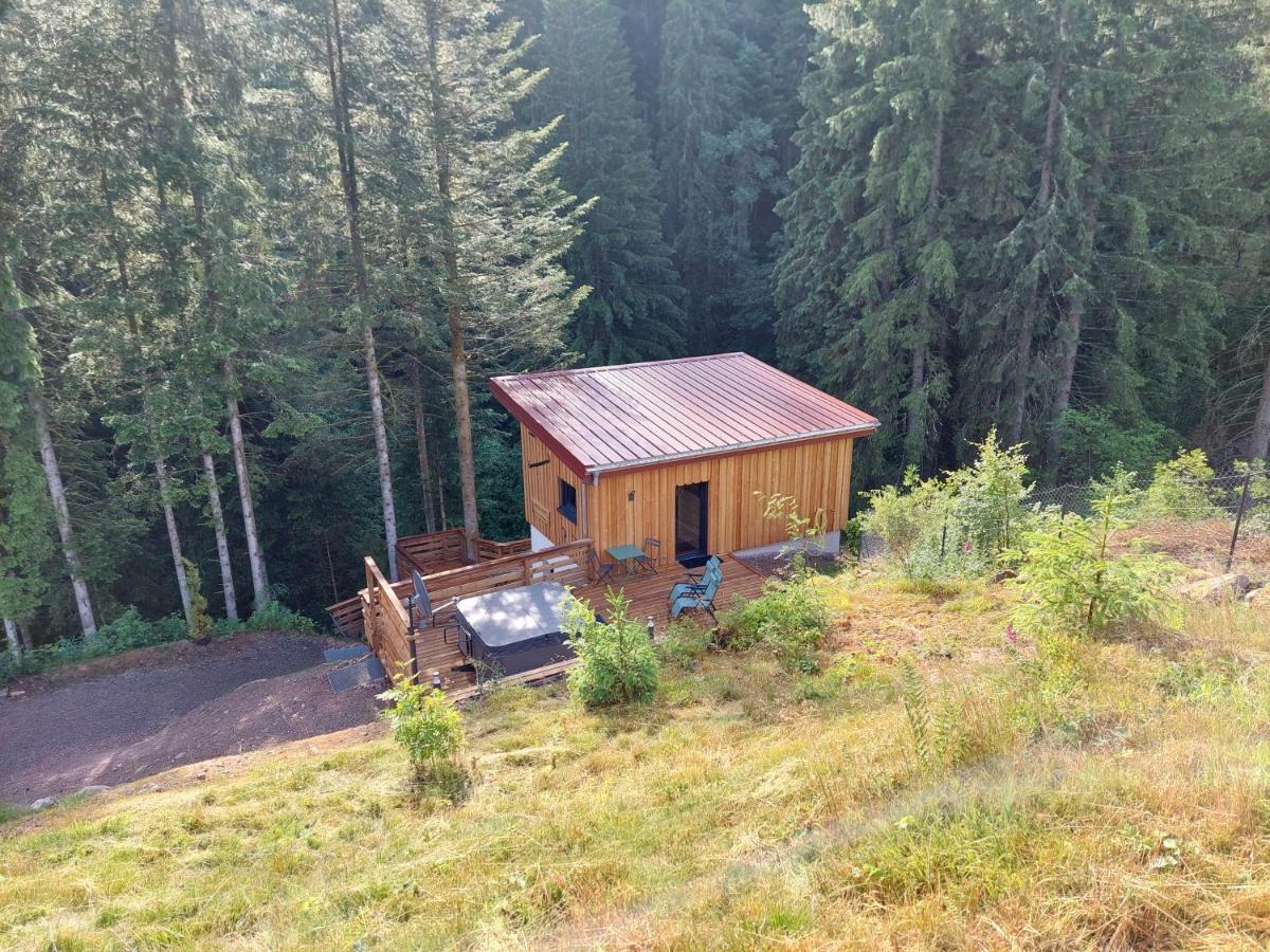 Le Refuge Perche Du Saut De La Bourrique Spa, Terrain Cloture Gerardmer Gérardmer Exterior foto